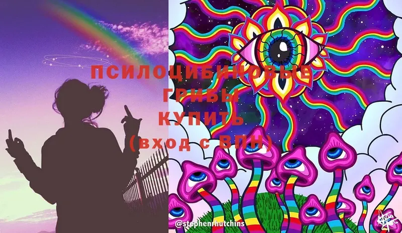 mega tor  Щёкино  это клад  Псилоцибиновые грибы Magic Shrooms 